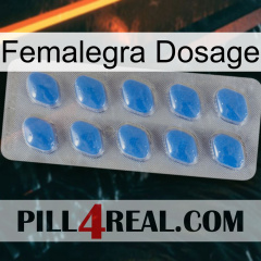 Femalegra Dosage 22